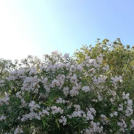 Apartament Blue White House *