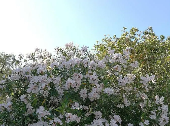 Appartamento Blue White House *